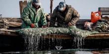 Свежие новости: В России заявили о признании украинскими рыбаками факта браконьерства
