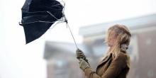 Свежие новости: По Украине объявили штормовое предупреждение – в Николаеве из-за сильного ветра падают деревья и ветки
