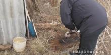 Свежие новости: В Одесской области женщина заживо закопала новорожденного ребенка
