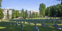 Свежие новости: В бюджете Николаева заложили почти 17 миллионов  на строительство нового кладбища