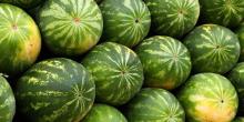 Свежие новости: «Нибулон» доставил первую партию херсонских арбузов в Киев