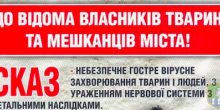 Свежие новости: Ситуація щодо захворюваності тварин на сказ в Миколаївської області оцінюється як небезпечна