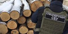 Свежие новости: В Одесской области СБУ задержала руководителя лесничества на взятке в 40 тысяч гривен