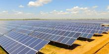 Свежие новости: В Николаевской области появятся новые солнечные электростанции