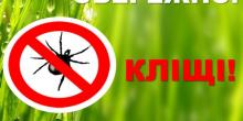 Фото новости: Обережно кліщі! Свежие новости: Обережно кліщі!