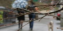 Свежие новости: Синоптик рассказала, когда морозы в Украине сменит потепление