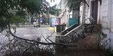 Свежие новости: В Николаеве из-за сильного ливня попадали деревья и столб электропередач