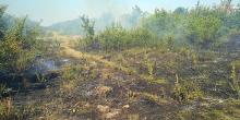 Свежие новости: За сутки на Николаевщине спасатели восемь раз тушили пожары травы, кустарников и мусора