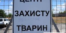 Свежие новости: В Николаеве прекращен отлов бродячих собак