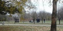 Фото новости: В Николаеве в парке застрелился пенсионер Свежие новости: В Николаеве в парке застрелился пенсионер