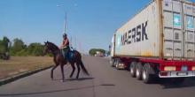 Свежие новости: ВИДЕО: В Николаеве лошадь неожиданно вынесла всадницу на оживленную трассу