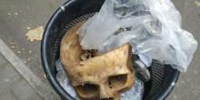 Свежие новости: ФОТО: В урне в центре Николаева нашли человеческий череп