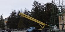 Свежие новости: В Первомайске начали монтировать главную городскую елку