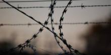 Свежие новости: Подростки жестоко убили одинокую женщину