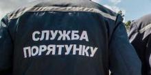 Свежие новости: На Вознесенщині рятувальники допомогли врятувати тварин