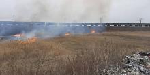Свежие новости: Возле Вознесенска неизвестные подожгли камыш – огонь распространился на 2 га