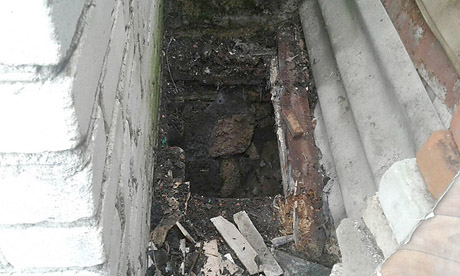 Свежие новости: В Вознесенске спасли собаку, упавшую в трехметровую яму