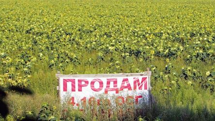 Свежие новости: Плати 1500 с гектара или продавай дешево. Зачем Рада хочет ввести новый налог