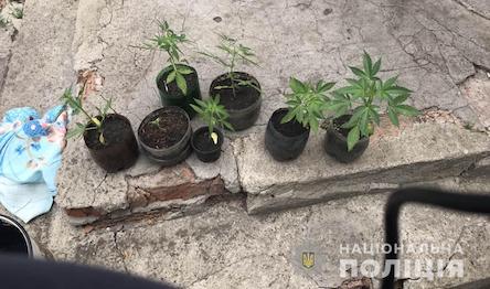 Свежие новости: На Николаевщине полиция изьяла у 40-летнего жителя полсотни кустов конопли, килограмм каннабиса и устройство для стрельбы дробью