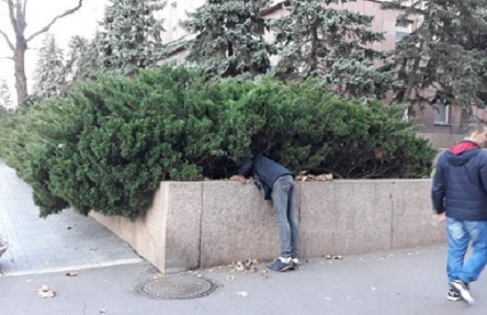 Свежие новости: ВИДЕО: У Николаевской ОГА парень искал «закладку» — полиция не отреагировала