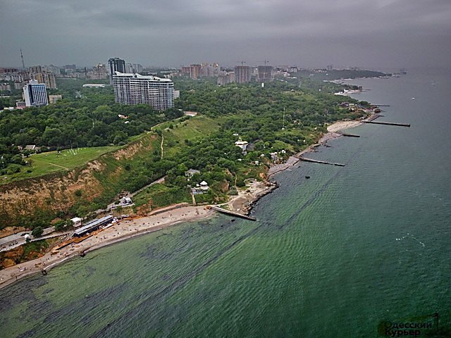 Свежие новости: В Одессе из-за «цветения» токсичной цианобактерии позеленело Черное море