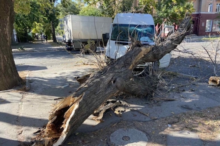 Свежие новости: В Николаеве фургон врезался в легковушку и снес дерево