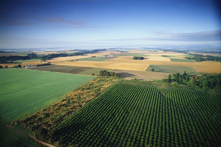 Свежие новости: Надання державної фінансової допомоги