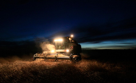 Свежие новости: Ночью в Николаевском районе техника, связанная с депутатом облсовета Ивануной, собирала чужой урожай