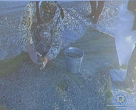 Свежие новости: На Николаевщине сотрудника природного парка «Белобережье Святослава» поймали на браконьерском вылове креветок