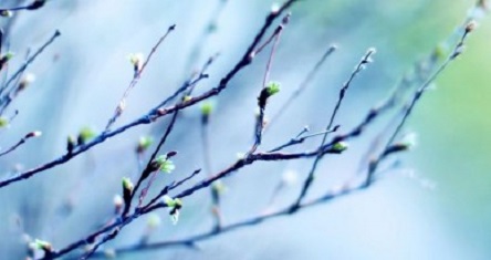 Свежие новости: Морозы уйдут! Синоптики резко изменили прогноз погоды в Украине