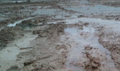 Свежие новости: Неподалеку от пгт Веселиново доставали из грязи автомобиль