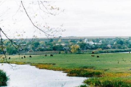 Свежие новости: На Первомайщине коммунальное предприятие сливало канализацию в Южный Буг
