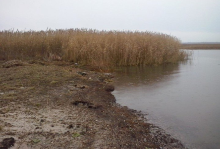 Фото новости: На Николаевщине в плавнях нашли останки без вести пропавшего мужчины Свежие новости: На Николаевщине в плавнях нашли останки без вести пропавшего мужчины