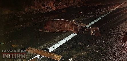 Свежие новости: На Одесчине на трассе «BMW» влетел в конную повозку: есть погибший