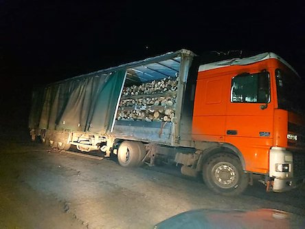 Свежие новости: В Вознесенском районе задержали фуру с незаконно вырубленными деревьями