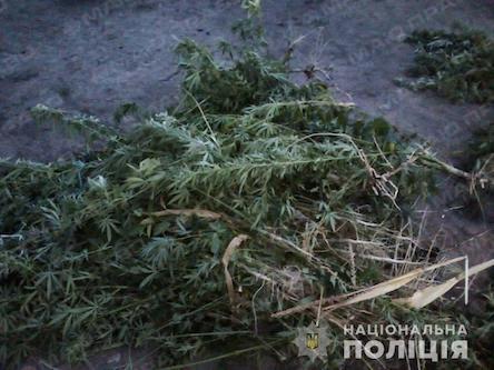 Свежие новости: Мужчину будут судить по четырем статьям за сопротивление и избиение полицейского