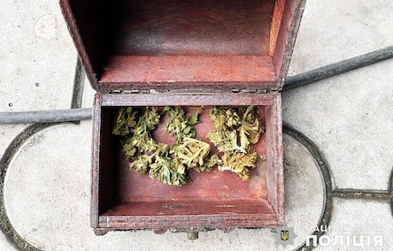 Свежие новости: На Миколаївщині поліцейські викрили чоловіка на незаконному зберіганні артснарядів та наркотиків