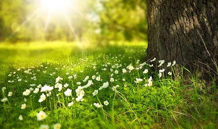 Свежие новости: Завтра в Николаеве синоптики обещают до +29º и ясно