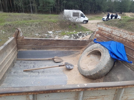 Свежие новости: В Балабановском лесу незаконно добывали песок