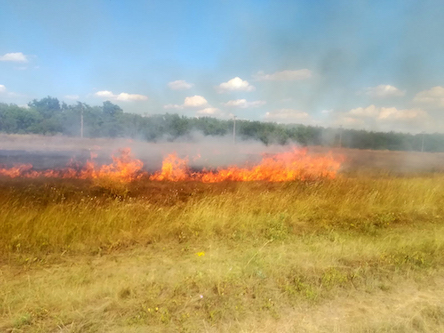 Свежие новости: В Николаевской области за сутки ликвидировано 9 пожаров сухостоя