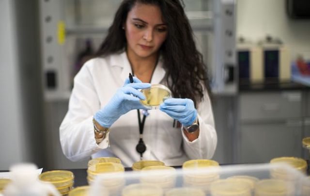 Свежие новости: Ученые обнаружили 