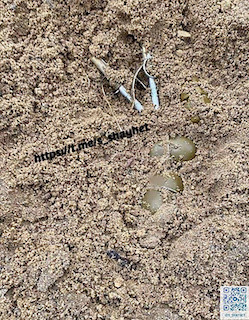 Свежие новости: На Миколаївщині під час гри на майданчику діти відкопали у піску три гранати