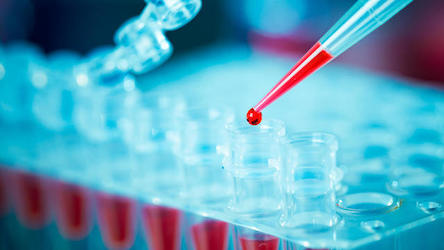 Свежие новости: На Николаевщине заканчиваются быстрые тесты на COVID-19