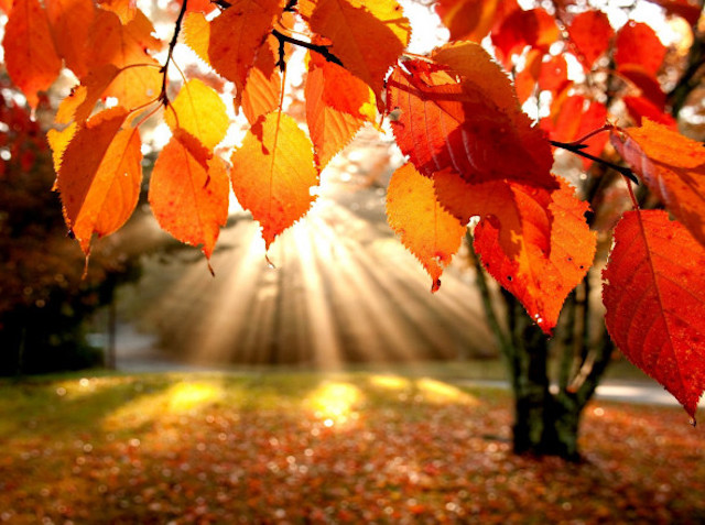 Свежие новости: Николаевские синоптики дали прогноз погоды на выходные и следующую неделю