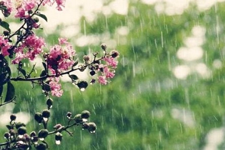 Свежие новости: Синоптики рассказали, какой будет погода в мае