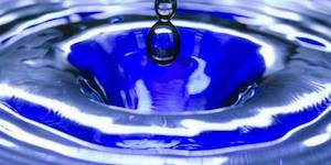 Свежие новости: 