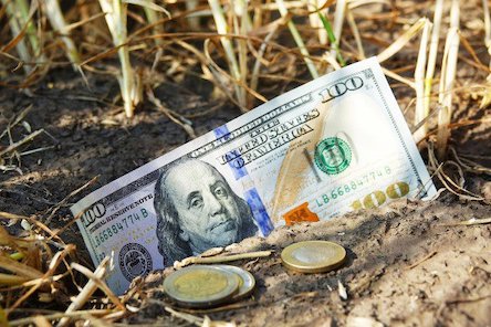 Свежие новости: Озвучено ціну землі в разі відкриття ринку 1 липня