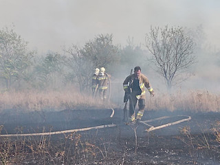 Свежие новости: У Миколаєві виникла масштабна пожежа сухостою