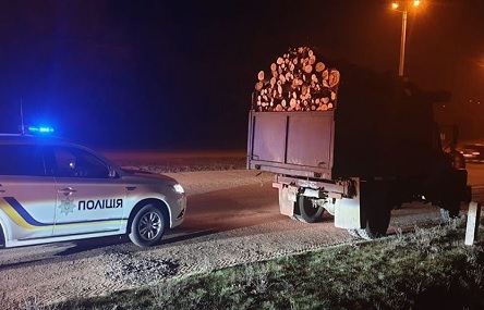 Свежие новости: Под Вознесенском губернатор Стадник заметил подозрительные автомобили, заполненные лесом - полиция разбирается