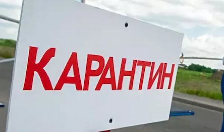 Свежие новости: В Монголии карантин: Супруги съели сурка и умерли от бубонной чумы